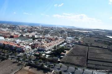 La magia de los Reyes Magos aterriza en Telde (Foto Antonio Alí y TA)